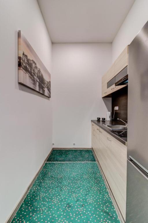 Studia Maxim Apartment Frydek-Mistek Bagian luar foto