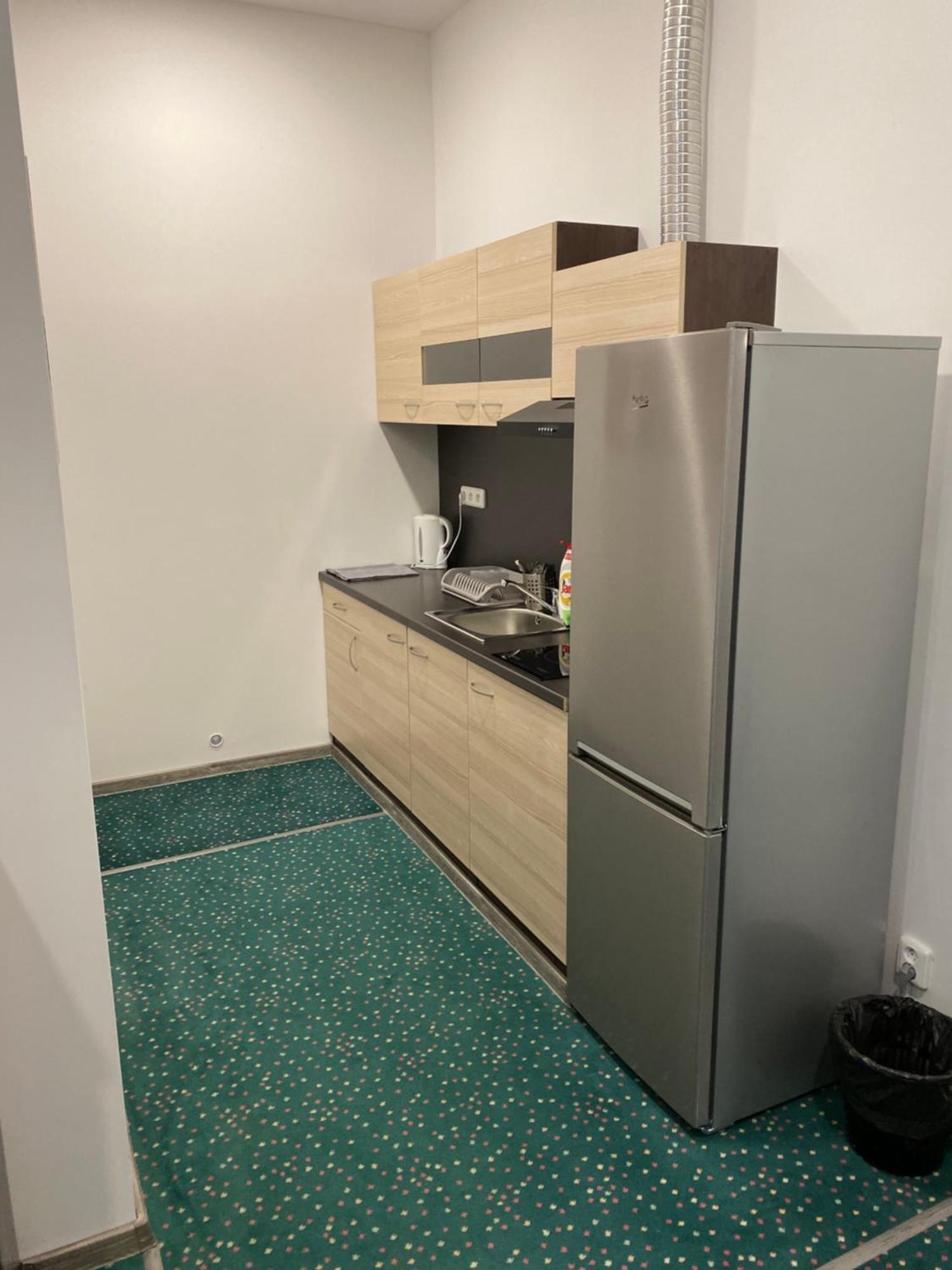 Studia Maxim Apartment Frydek-Mistek Bagian luar foto