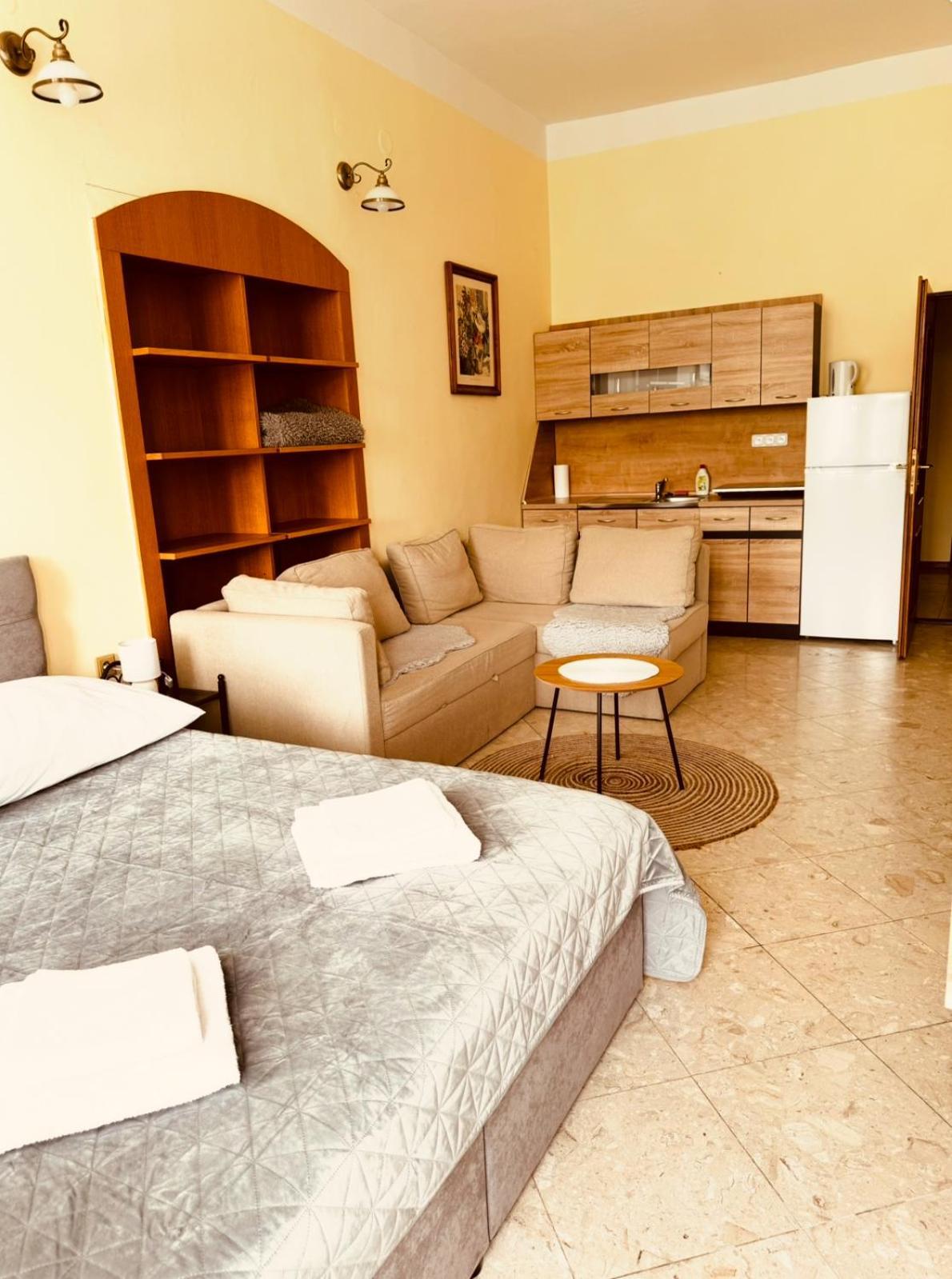 Studia Maxim Apartment Frydek-Mistek Bagian luar foto