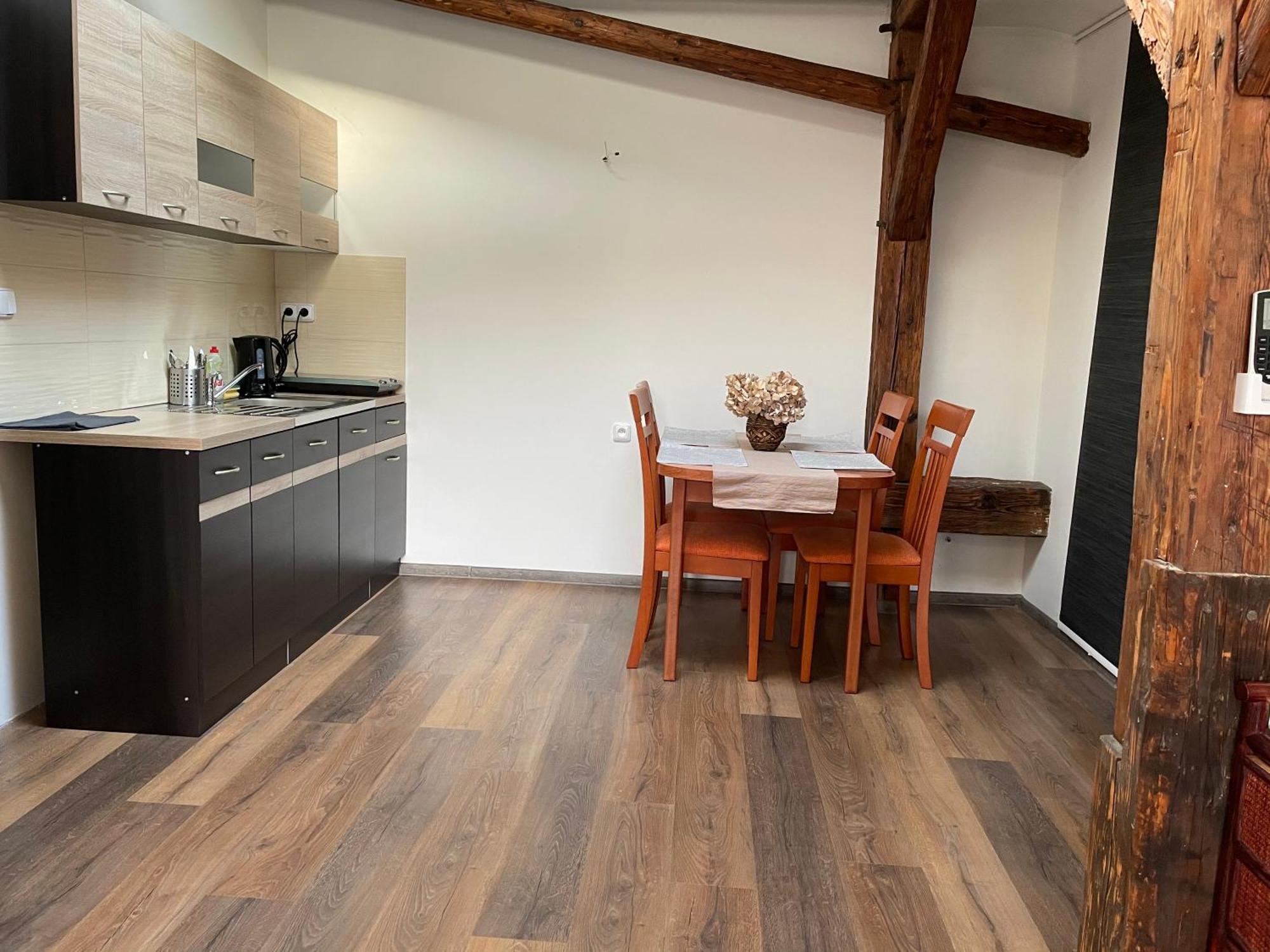 Studia Maxim Apartment Frydek-Mistek Bagian luar foto