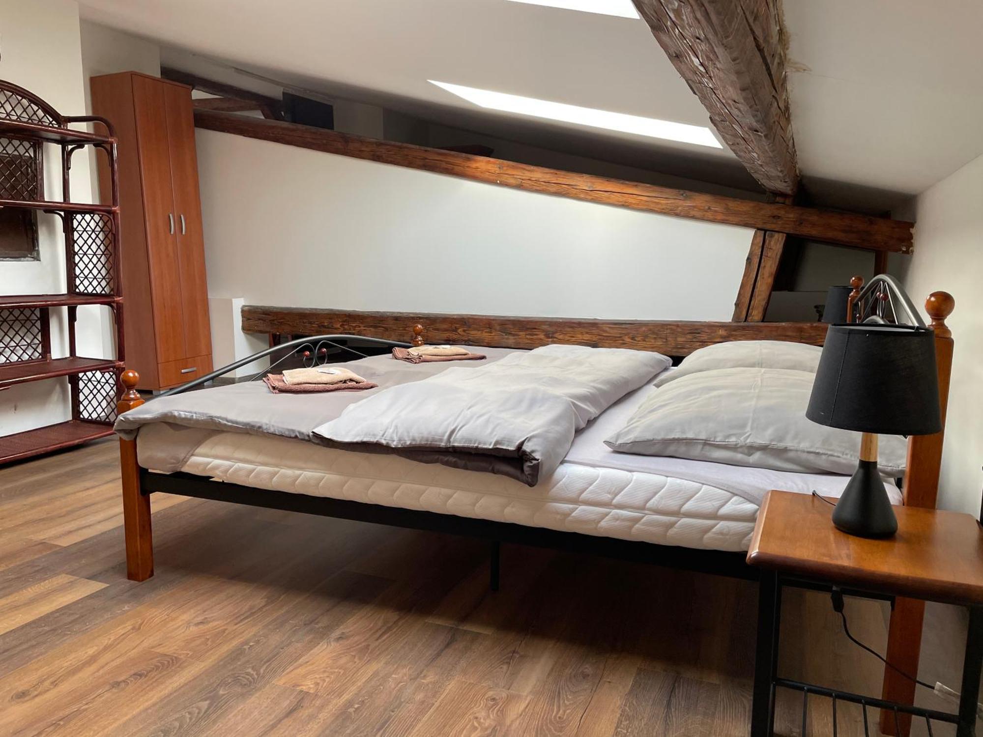 Studia Maxim Apartment Frydek-Mistek Bagian luar foto